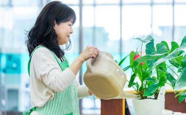 植栽（花の水やりなど）